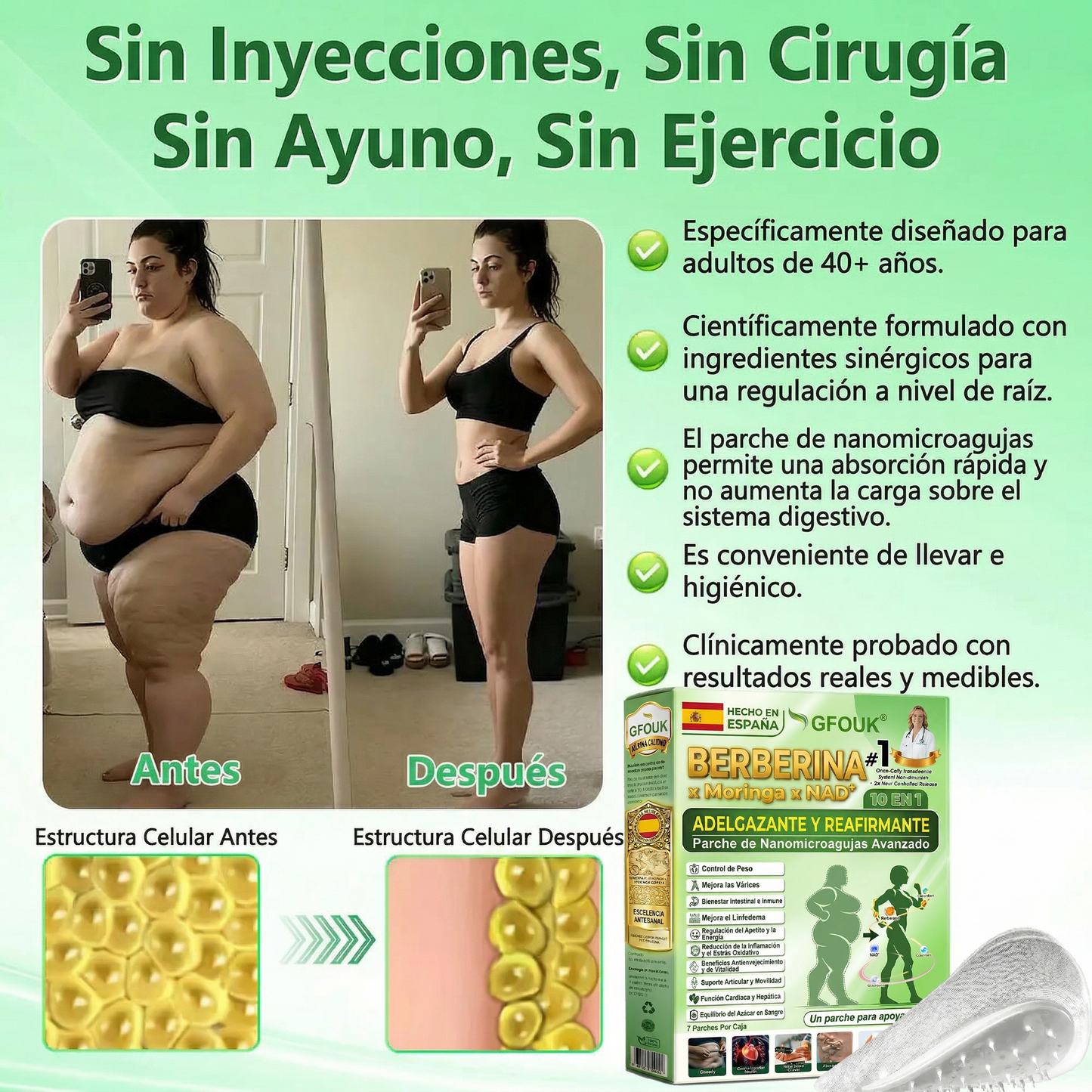 🏆👨‍⚕️GFOUK® 𝐁𝐞𝐫𝐛𝐞𝐫𝐢𝐧𝐞 · Castaño de caballo × 🌿NAD+ 10 en 1 Parche Avanzado de Nano Microneedle — 🌿 Una vez al día, resultados visibles en 7 días (obesidad, piel flácida, diabetes, apnea del sueño, problemas articulares y más)🎁