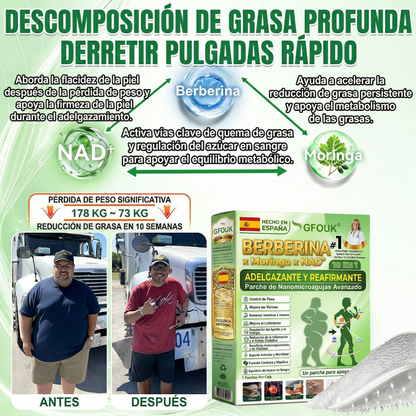 🏆👨‍⚕️GFOUK® 𝐁𝐞𝐫𝐛𝐞𝐫𝐢𝐧𝐞 · Castaño de caballo × 🌿NAD+ 10 en 1 Parche Avanzado de Nano Microneedle — 🌿 Una vez al día, resultados visibles en 7 días (obesidad, piel flácida, diabetes, apnea del sueño, problemas articulares y más)🎁